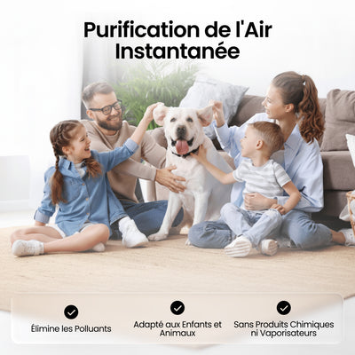 Respirez un air pur en quelques minutes